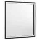 Calgary Furniture Emporium Lucia 224991Q-S4 6-piece Queen Panel Bedroom Set IMAGE 5