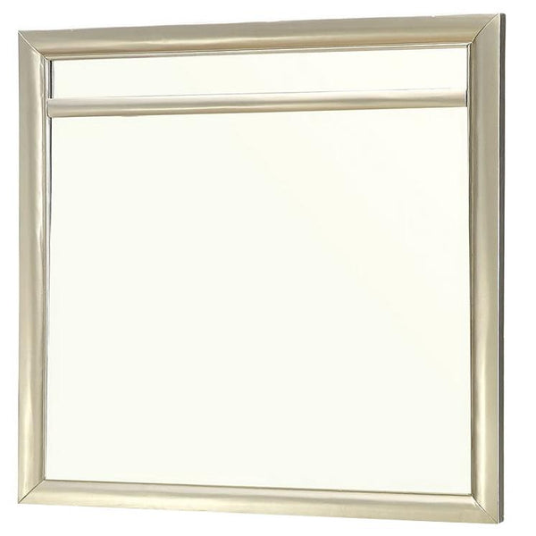 Furniture of America Briella CM7101M Mirror IMAGE 1