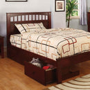  Furniture of America Kids Beds Bed CM7904CH-T-BED IMAGE 1