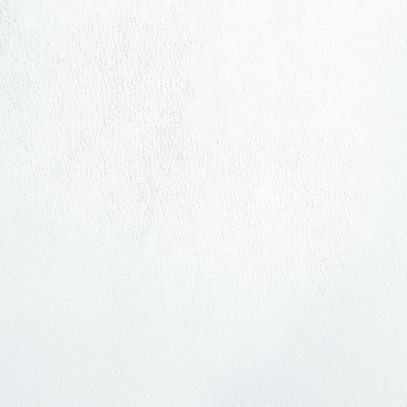 Calgary Furniture Emporium Palton Dining Chair DN00733 IMAGE 6