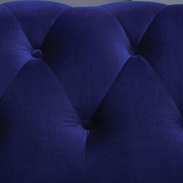 Furniture of America Giacomo CM6240BL-LV-PK Loveseat IMAGE 3