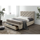  Furniture of America Sybella CM7218BG-F-BED Full Bed IMAGE 2