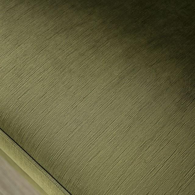 Furniture of America Kaye SM2684-LV Love Seat IMAGE 3