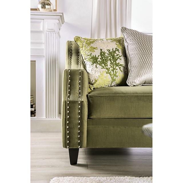 Furniture of America Kaye SM2684-LV Love Seat IMAGE 6
