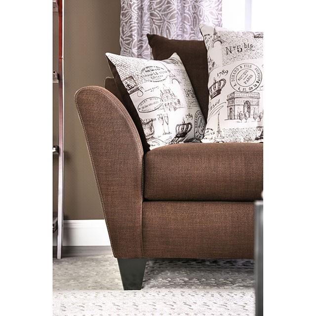 Furniture of America Delanie SM6203-LV Love Seat IMAGE 2