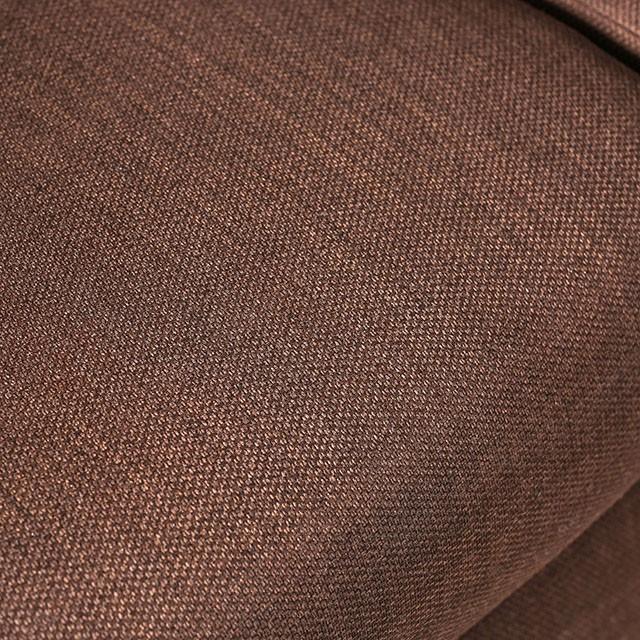 Furniture of America Delanie SM6203-LV Love Seat IMAGE 5
