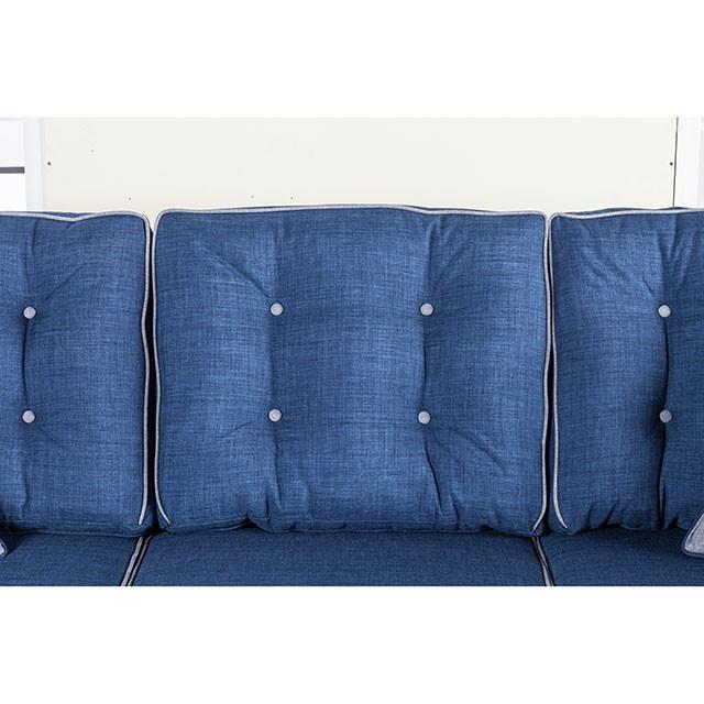 Furniture of America Ravel SM8802-LV Love Seat IMAGE 3