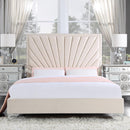 Calgary Furniture Emporium Faiz Queen Upholstered Panel Bed BD00957Q IMAGE 1