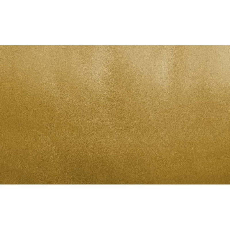 Calgary Furniture Emporium Radia Stationary Leather Sofa LV01022 IMAGE 5