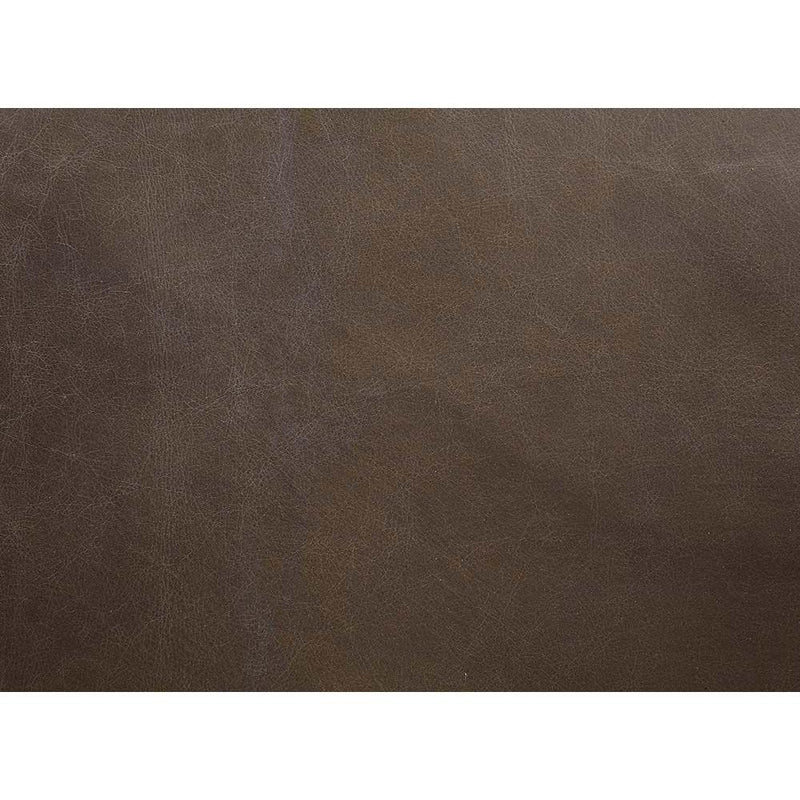 Calgary Furniture Emporium Oralia Stationary Leather Accent Chair AC01166 IMAGE 5