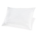  Ashley Sleep Zephyr 2.0 M52110 Cotton Pillow IMAGE 1