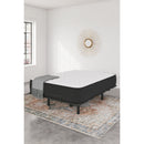  Sierra Sleep Limited Edition Firm M41031 Queen Mattress IMAGE 5