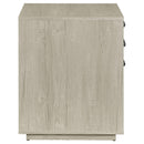 Coaster Furniture Loomis 805882 3-Drawer Home Office File Cabinet - Whitewashed Grey IMAGE 11