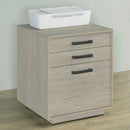 Coaster Furniture Loomis 805882 3-Drawer Home Office File Cabinet - Whitewashed Grey IMAGE 3