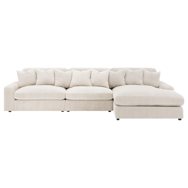 Coaster Furniture Blaine 509899-SET Upholstered Reversible Sectional Sofa - Sand IMAGE 3