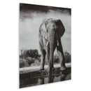  Signature Design by Ashley Glinyard A8000421 Wall Art IMAGE 1