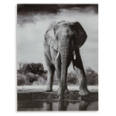  Signature Design by Ashley Glinyard A8000421 Wall Art IMAGE 2