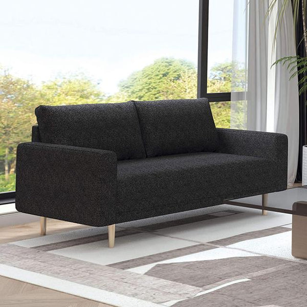 Furniture of America Elverum FM61000BK-LV Loveseat IMAGE 1