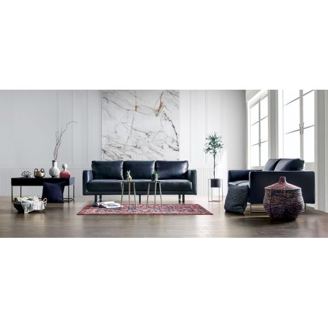 Furniture of America Mezzanotte FM90000-SF-PK Sofa IMAGE 2