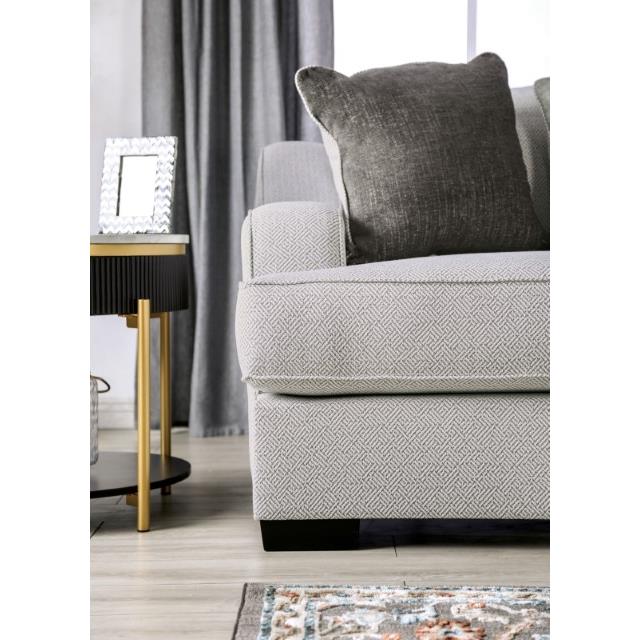 Furniture of America Skyline SM1212-LV Loveseat IMAGE 9