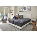 Sealy Kempton Firm Mattress Set (Twin) IMAGE 6