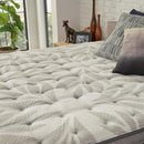 Sealy Red Maple Soft Euro Pillow Top Mattress (Full) IMAGE 3