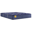Sealy Remmington Medium Tight Top Mattress (California King) IMAGE 1