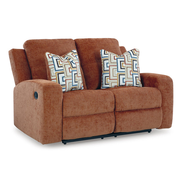 Signature Design by Ashley Danum 3880786C Reclining Loveseat IMAGE 1