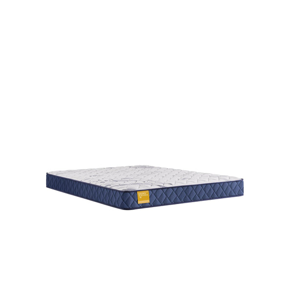 Sealy Erie Foam Tight Top Mattress (King) IMAGE 1