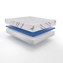 Sealy Second & Park Medium Foam Mattress (California King) IMAGE 2