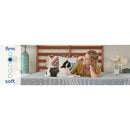 Sealy Medina Firm Foam Mattress (Split California King) IMAGE 12