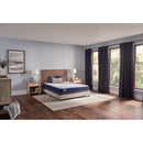 Sealy Oconee Foam Tight Top Mattress (Twin XL) IMAGE 8