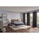 Sealy Grayson Firm Tight Top Mattress (Twin XL) IMAGE 9