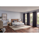 Sealy Lane Medium Foam Mattress (Twin) IMAGE 10