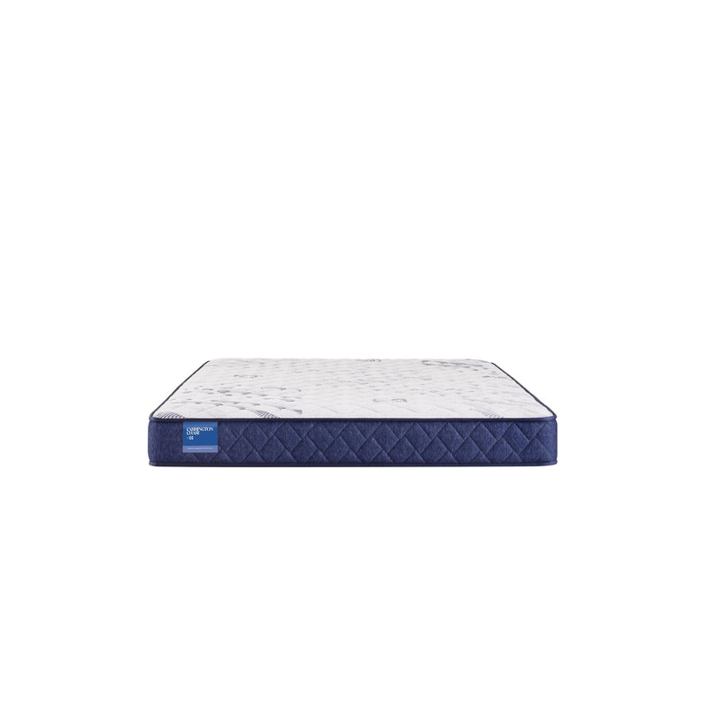 Sealy Resting Manor Foam Tight Top Mattress (Twin) IMAGE 5