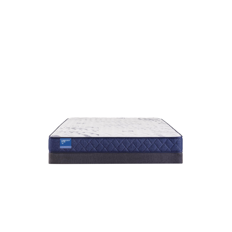 Sealy Resting Manor Foam Tight Top Mattress (King) IMAGE 3