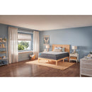 Sealy Beckley Foam Mattress (Queen) IMAGE 8