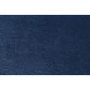 Furniture of America Severo FM61005BL-SF Sofa IMAGE 3