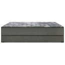 Sealy Sloan Firm Tight Top Mattress Set 5" (Twin XL) IMAGE 3