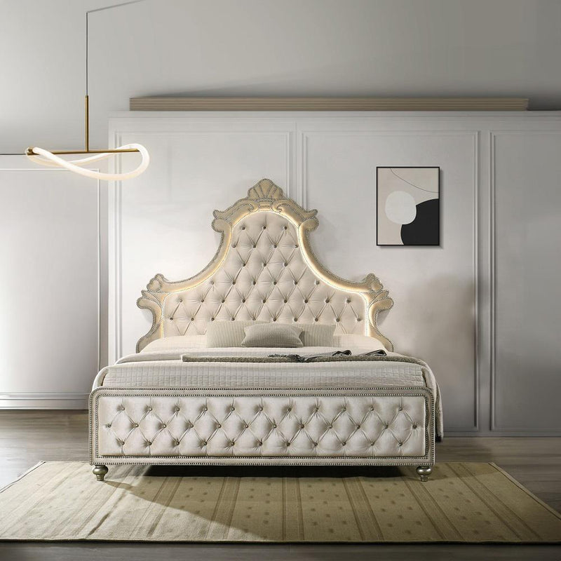 Calgary Furniture Emporium Lucienne Queen Bed BD02335Q IMAGE 1
